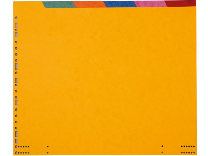 Intercalaire 12"x 380 - Carte Lustrée 3/10ème