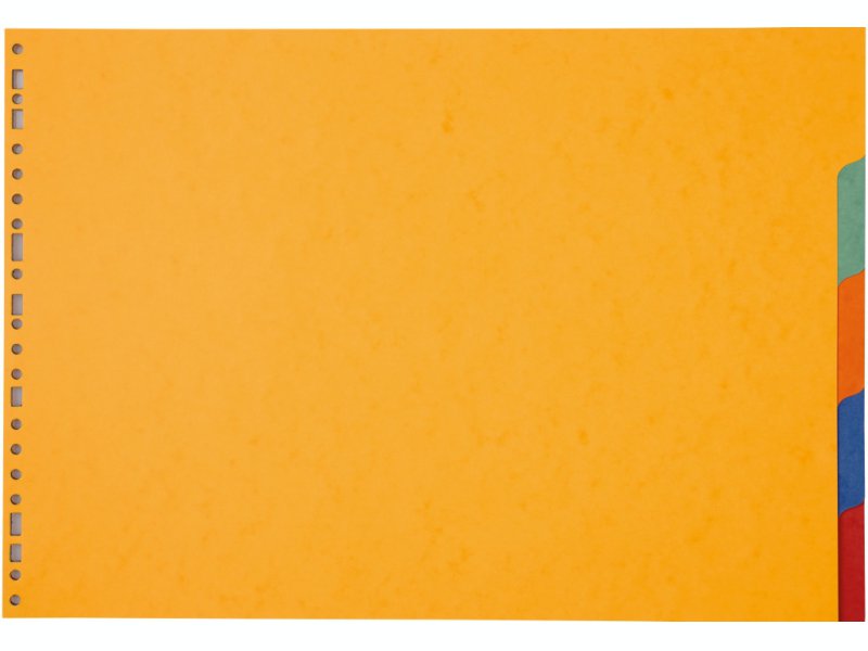 Intercalaire A3 - Carte Lustrée 5/10ème