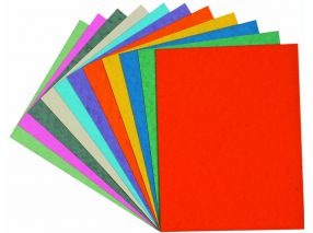 Feuille de carte lustrée 5/10ème - 50x65