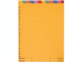 Intercalaire 12"x 240 - Carte Lustrée 3/10ème