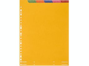 Intercalaire 12"x 240 - Carte Lustrée 3/10ème