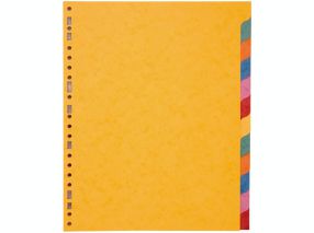Intercalaire A4 MAXI -12 onglets - Carte Lustrée 3/10ème
