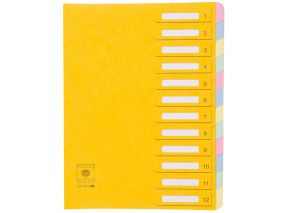 trieur dos extensible carte lustrée - 12 compartiments